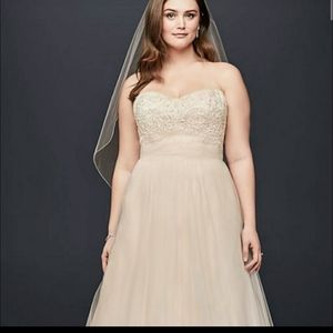 Ivory/Champagne Plus Size Wedding Gown